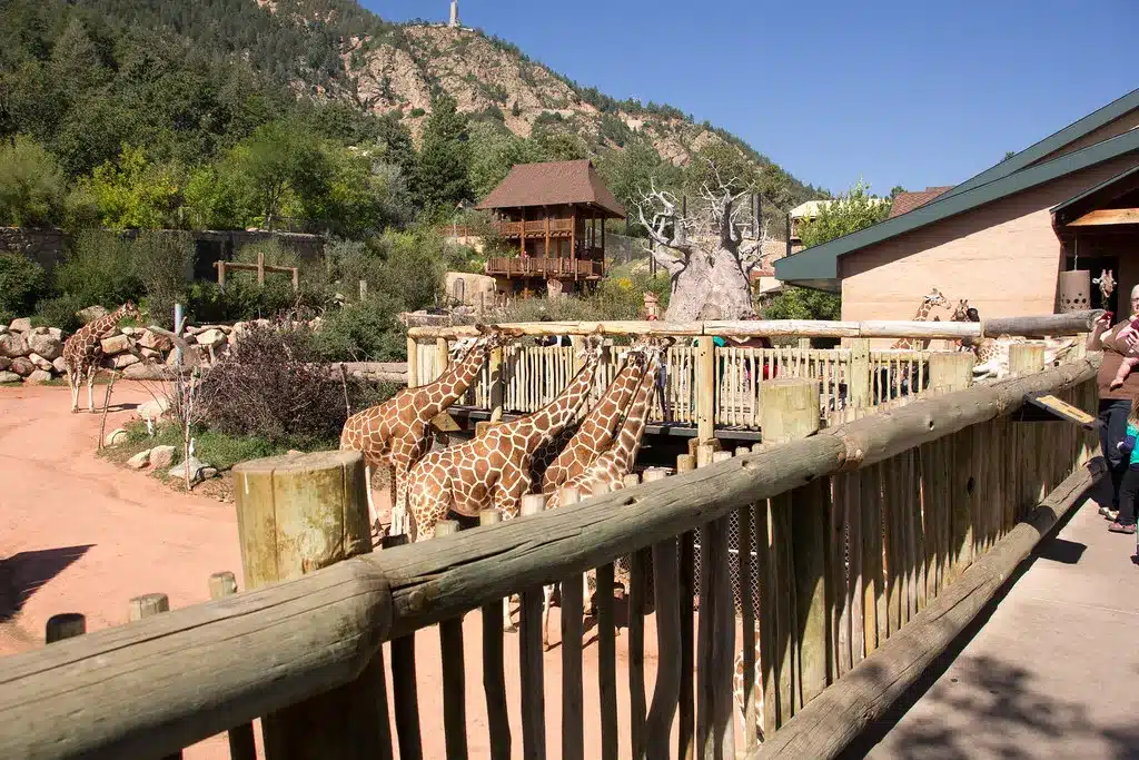 Cheyenne Mountain Zoo