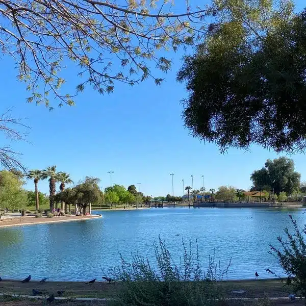 Desert Breeze Park