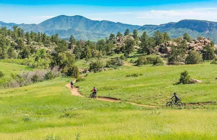 Hover Street Trail