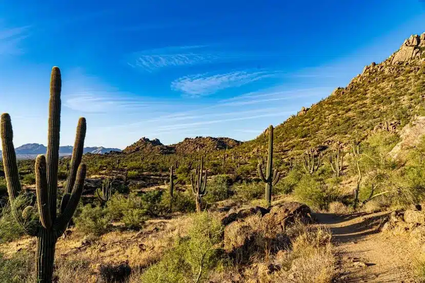 McDowell Sonoran Preserve