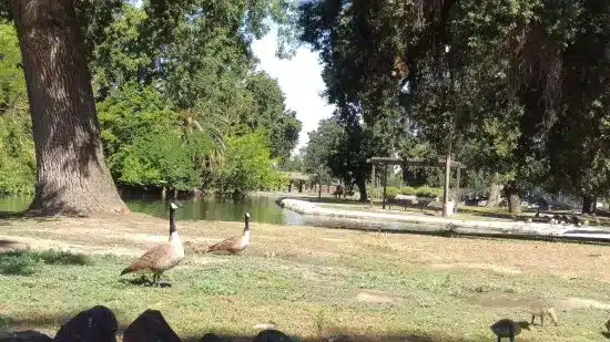 Mooney Grove Park