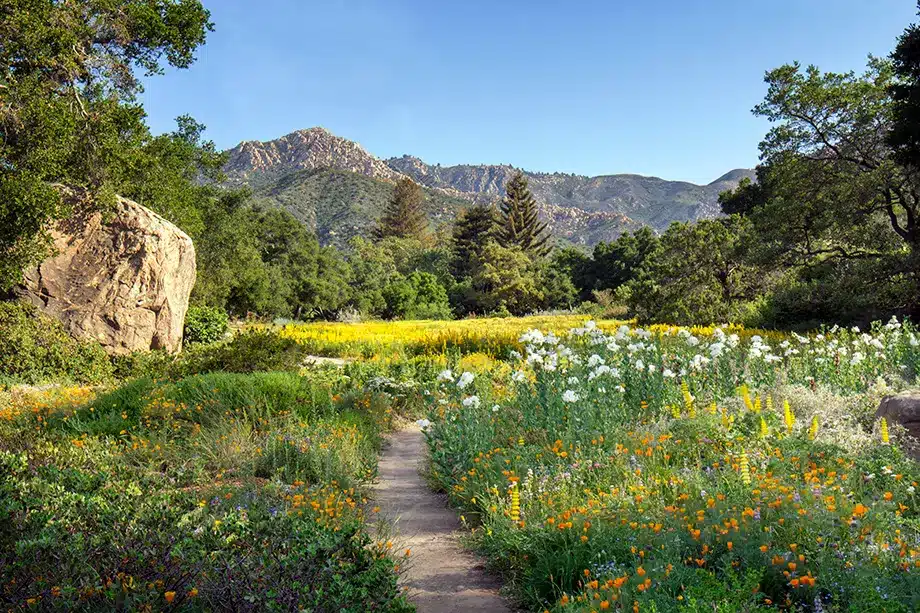 Santa Barbara Botanic Garden