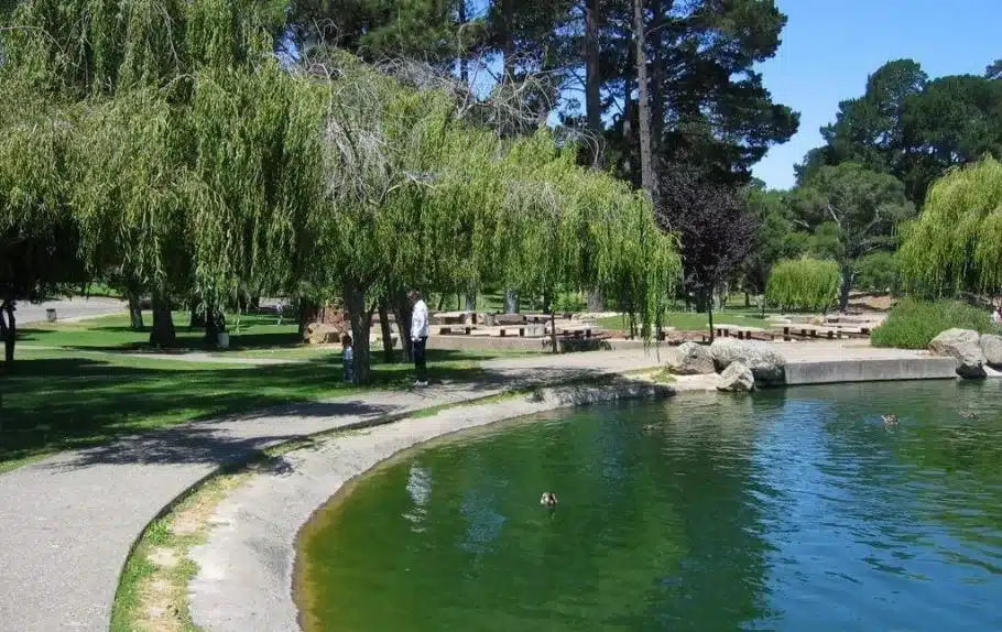 Waller Park