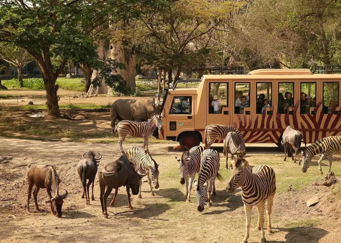 Wildlife World Zoo Aquarium Safari Park