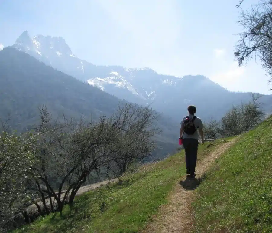sequoia national park