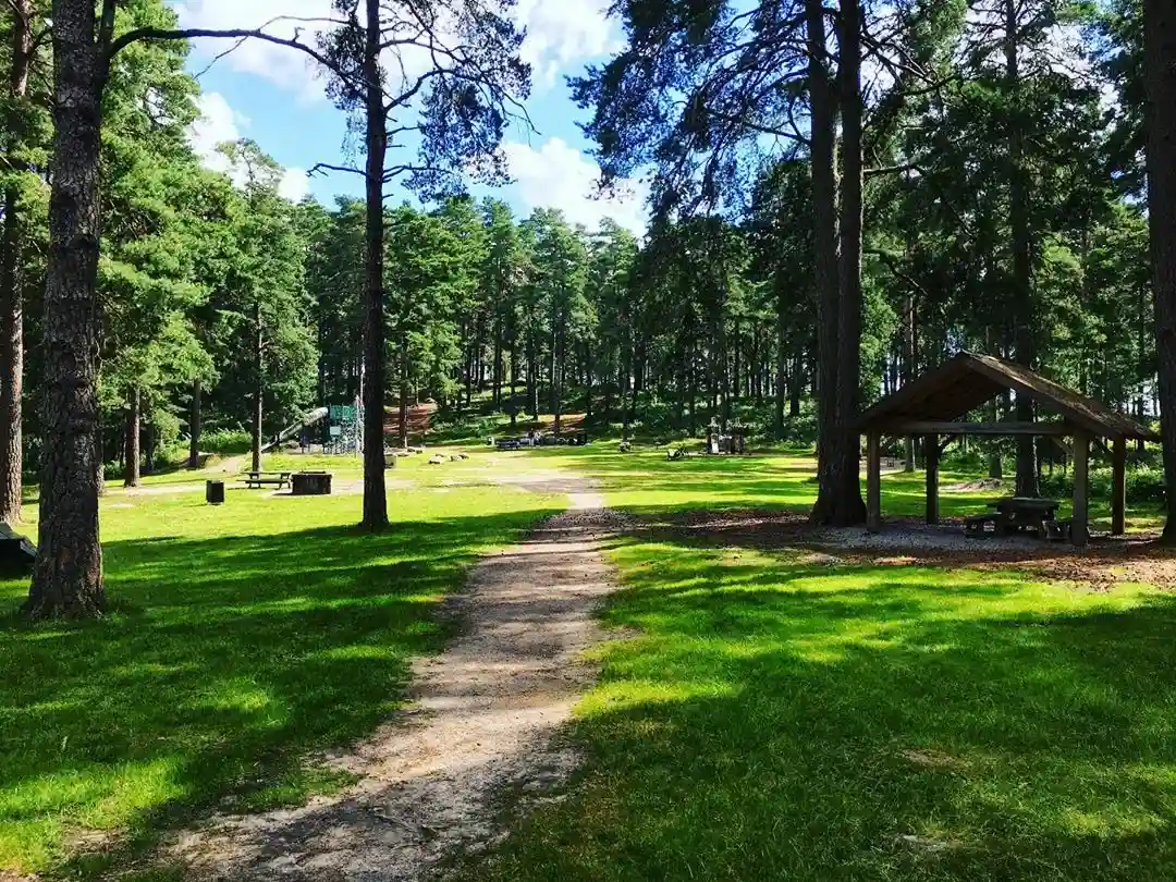 Forest Park