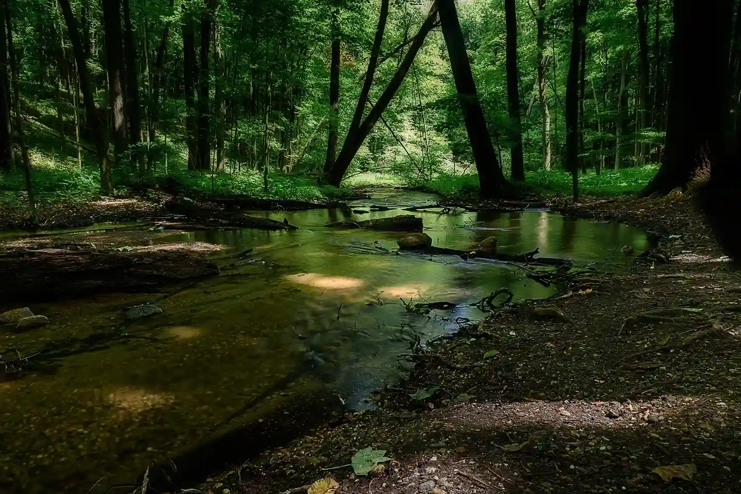 Kalamazoo Nature Center