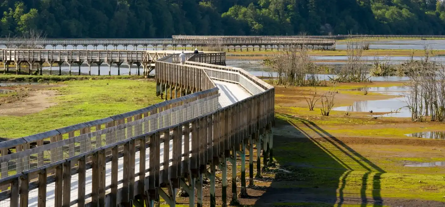 Nisqually National Wildlife Refuge
