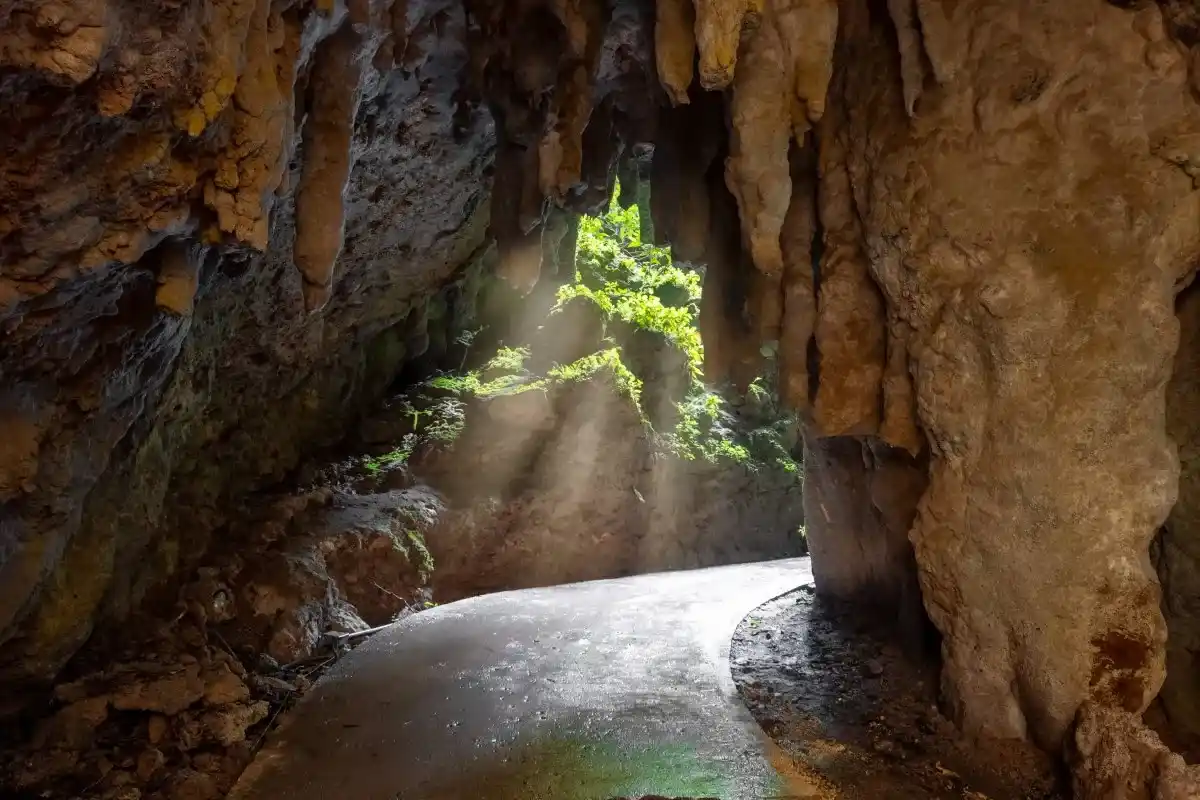 Rio Camuy Cave Park