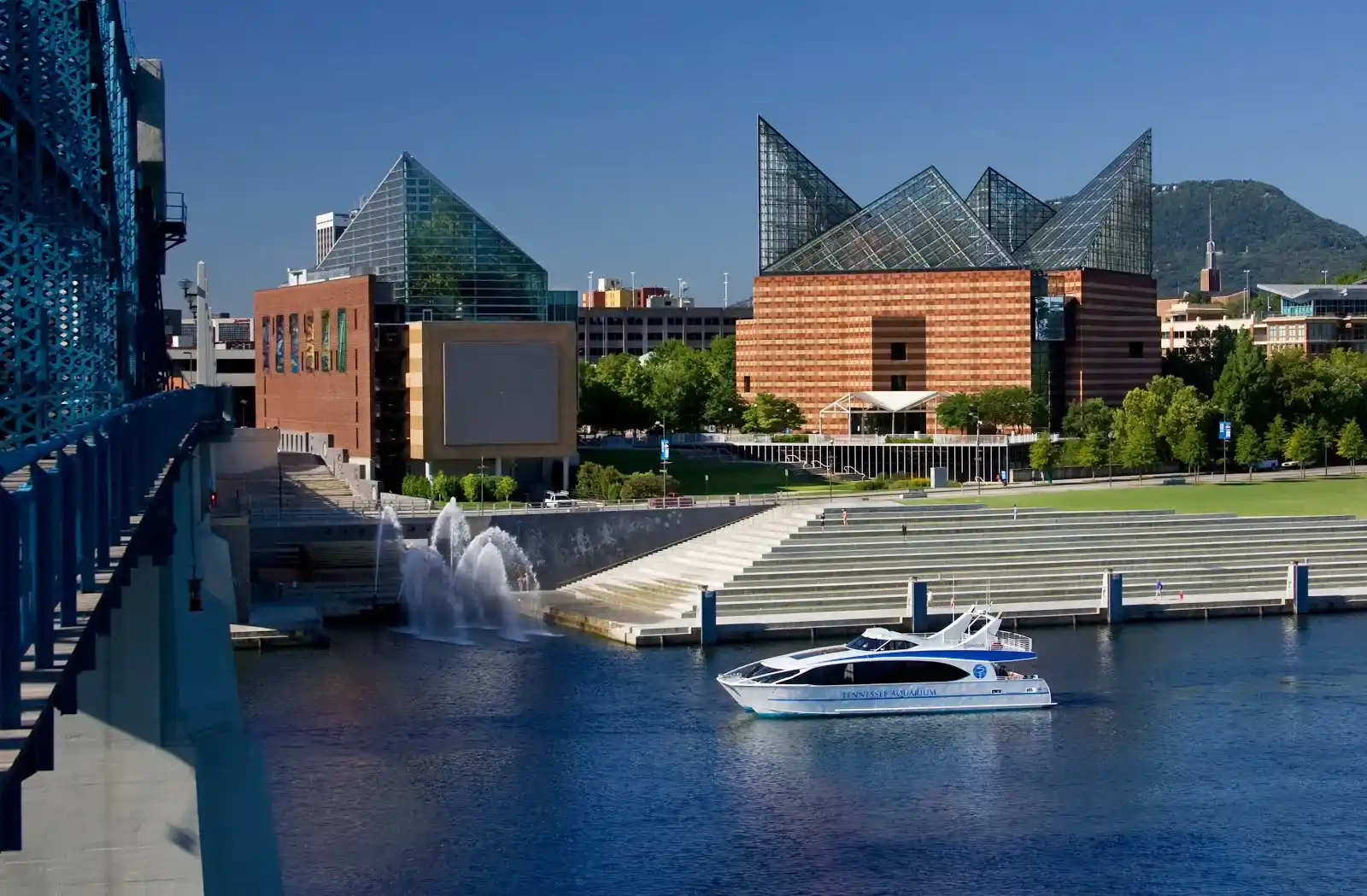 Tennessee Aquarium