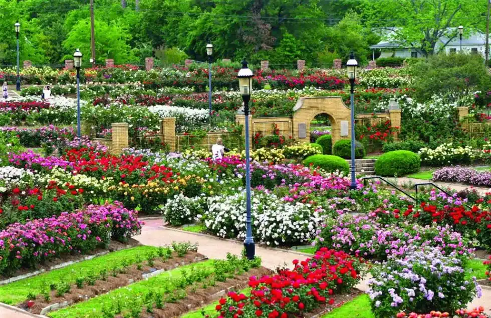 Tyler Rose Garden