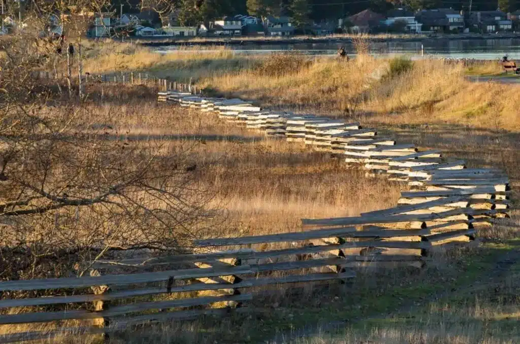 Boundary Bay Regional Park