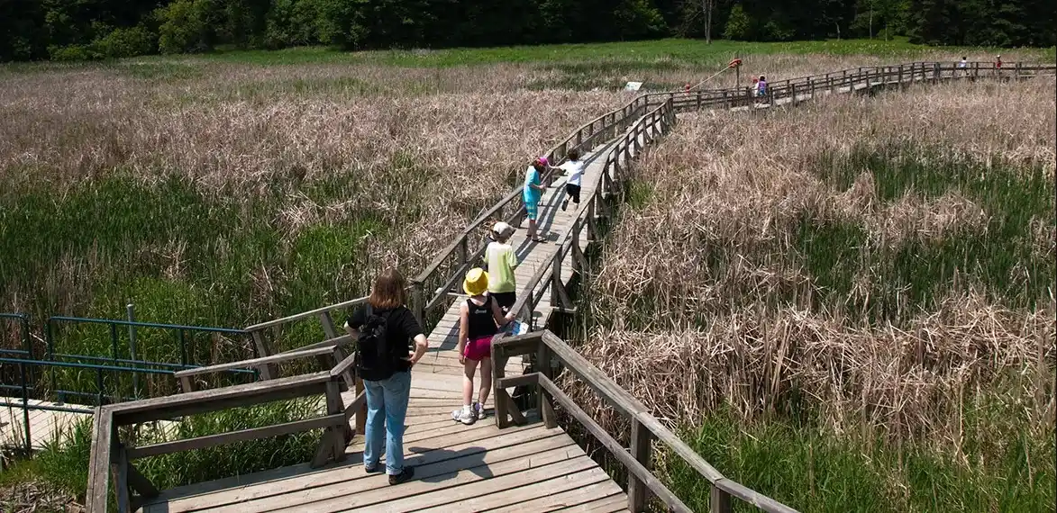 Kortright Centre for Conservation