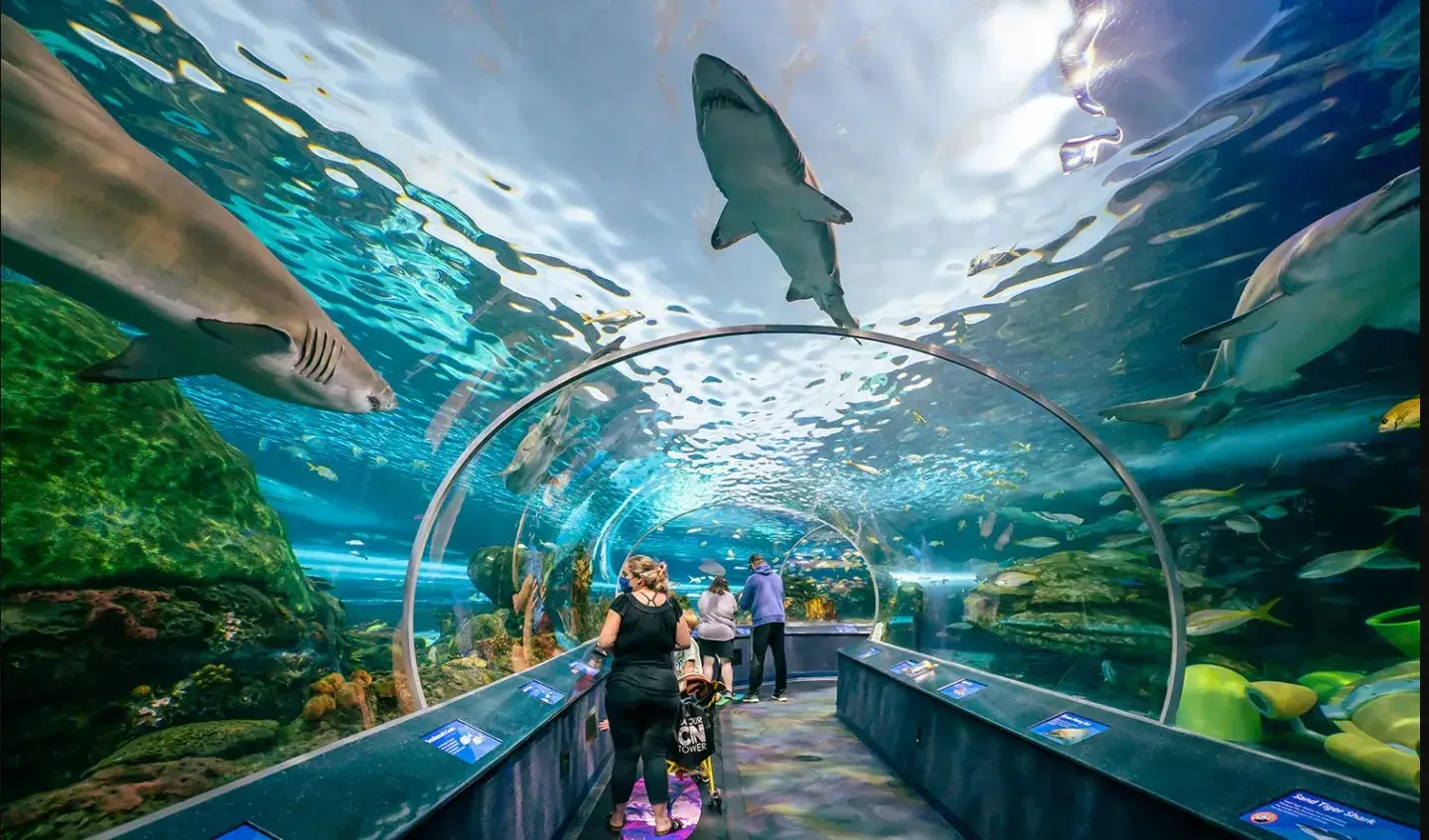 Ripleys Aquarium of Canada 1