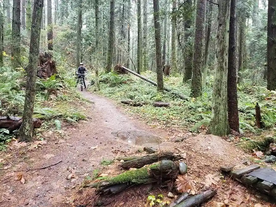 Watershed Park