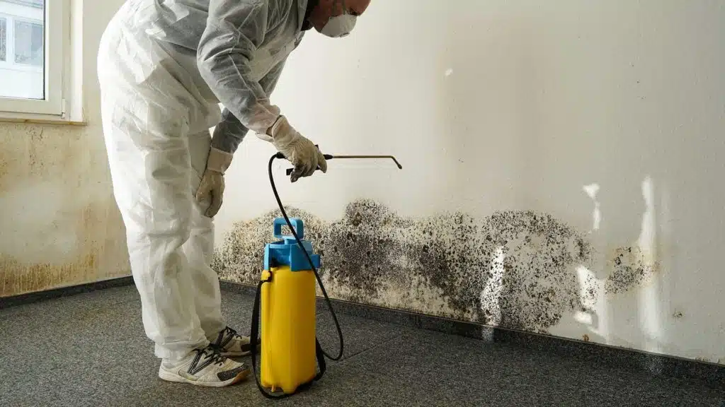 Moisture Control and Mold Prevention