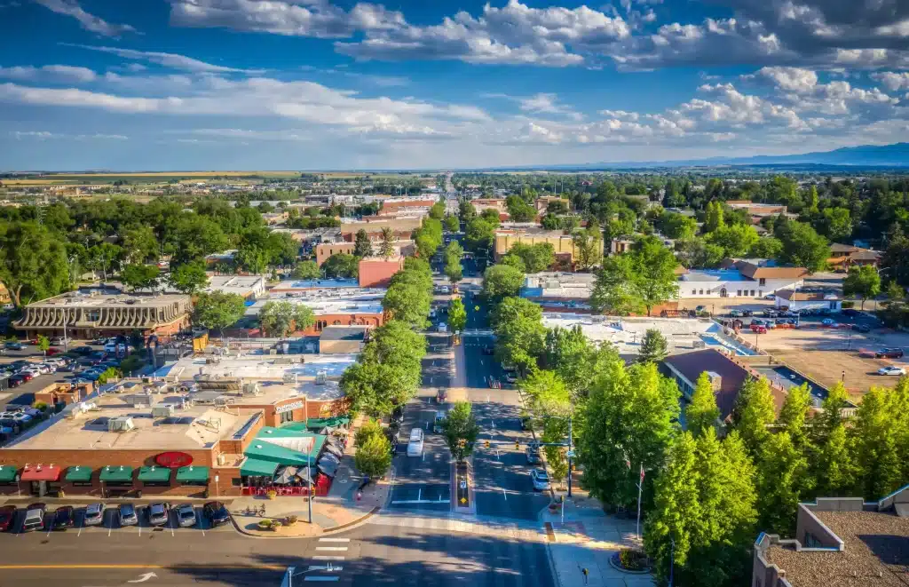 Professional Marketing Services for Spray Foam Contractors in Longmont, Colorado