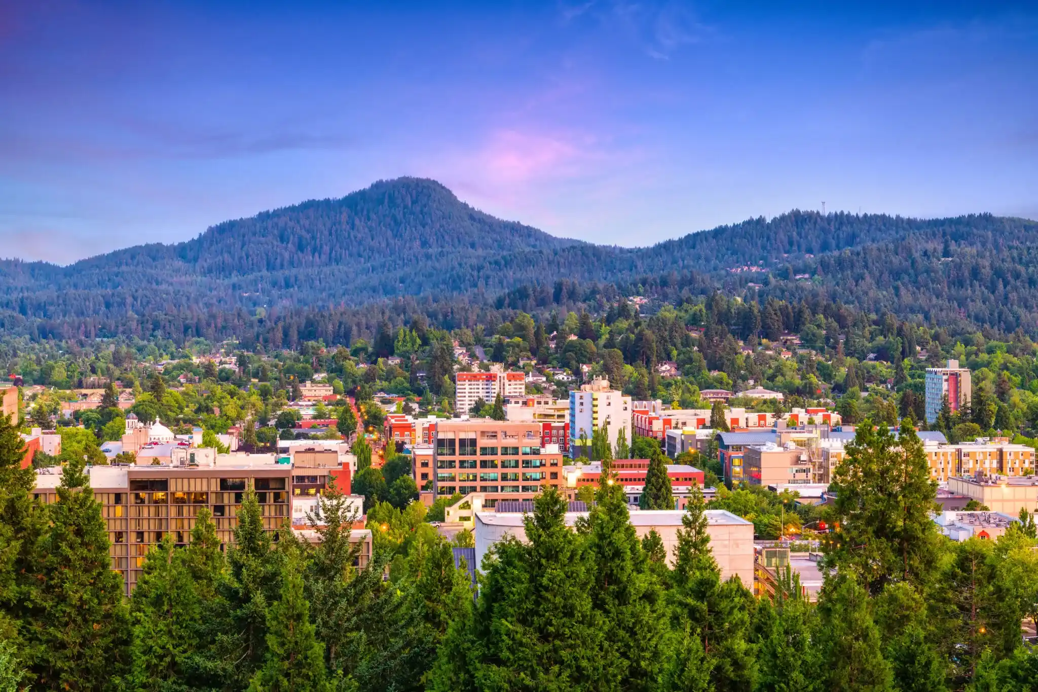 Professional Marketing Services For Spray Foam Contractors in Eugene, Oregon