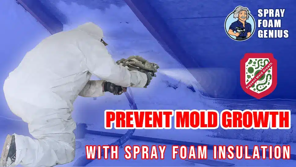 How Spray Foam Insulation Can Prevent Mold Growth