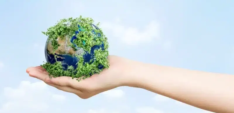 Sustainability Through Material Composition