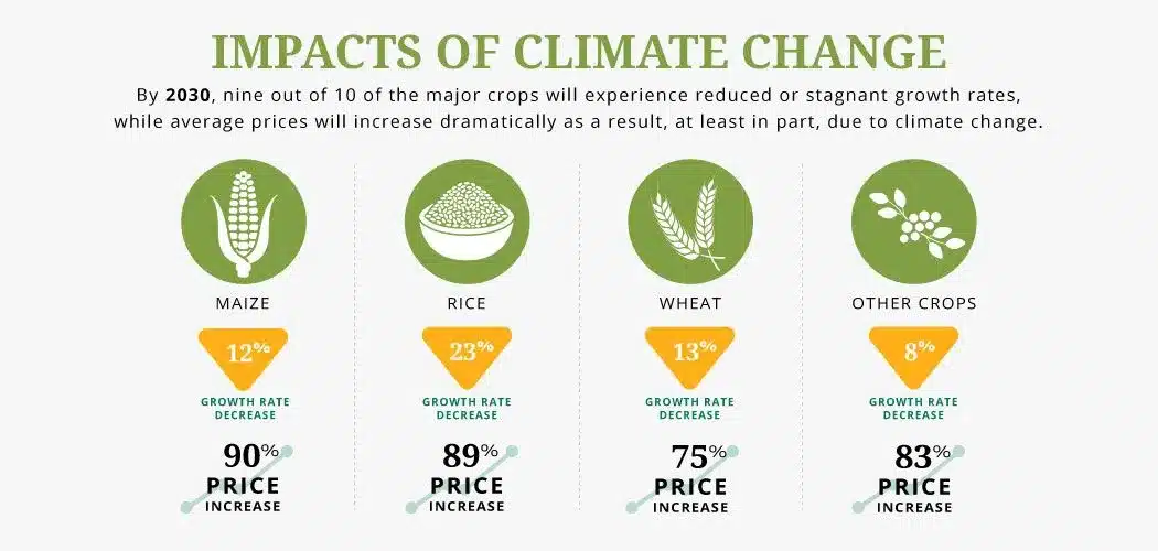The Impact of Climate on Insulation Choices
