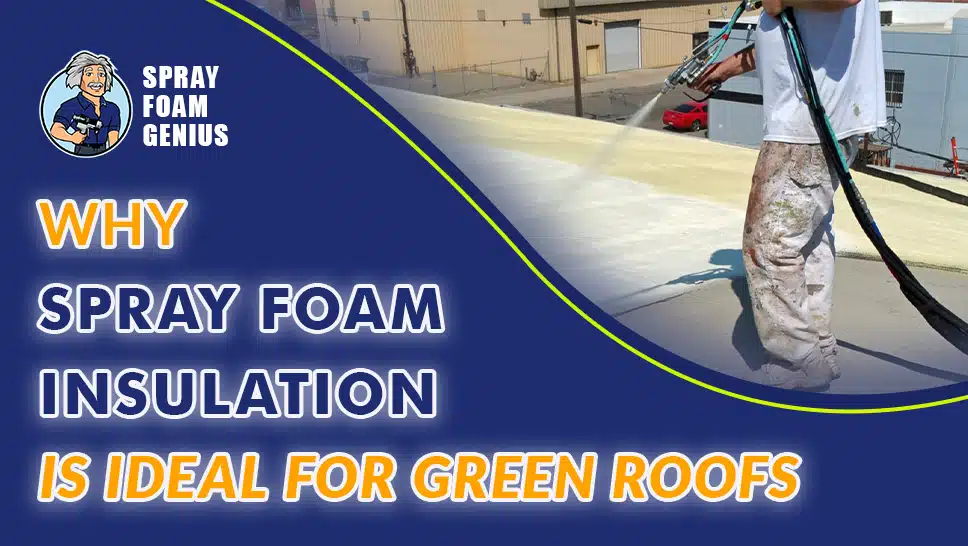 Why Spray Foam Insulation is the Best Choice for Green Roofs