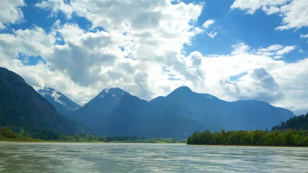 Expert Marketing Agency For Spray Foam Contractors in Chilliwack, British Columbia