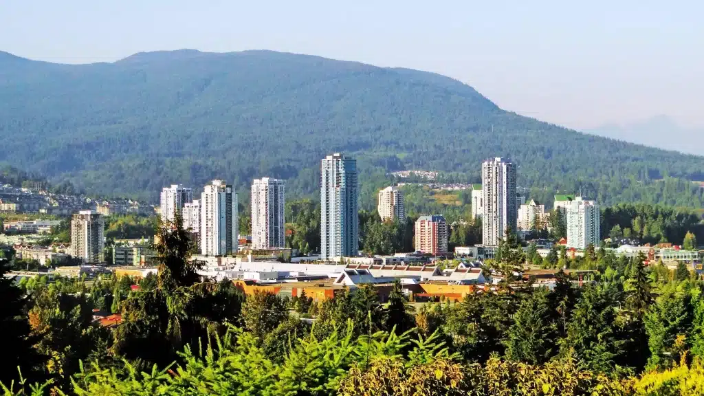Top-Rated Marketing Experts for Spray Foam Contractors in Coquitlam, British Columbia
