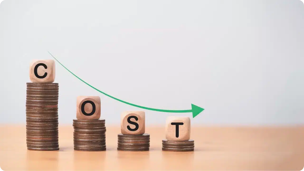 Cost-Effectiveness and Long-Term Savings