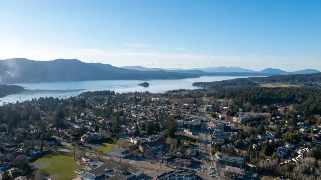 Leading Marketing Services For Spray Foam Contractors in Saanich, British Columbia