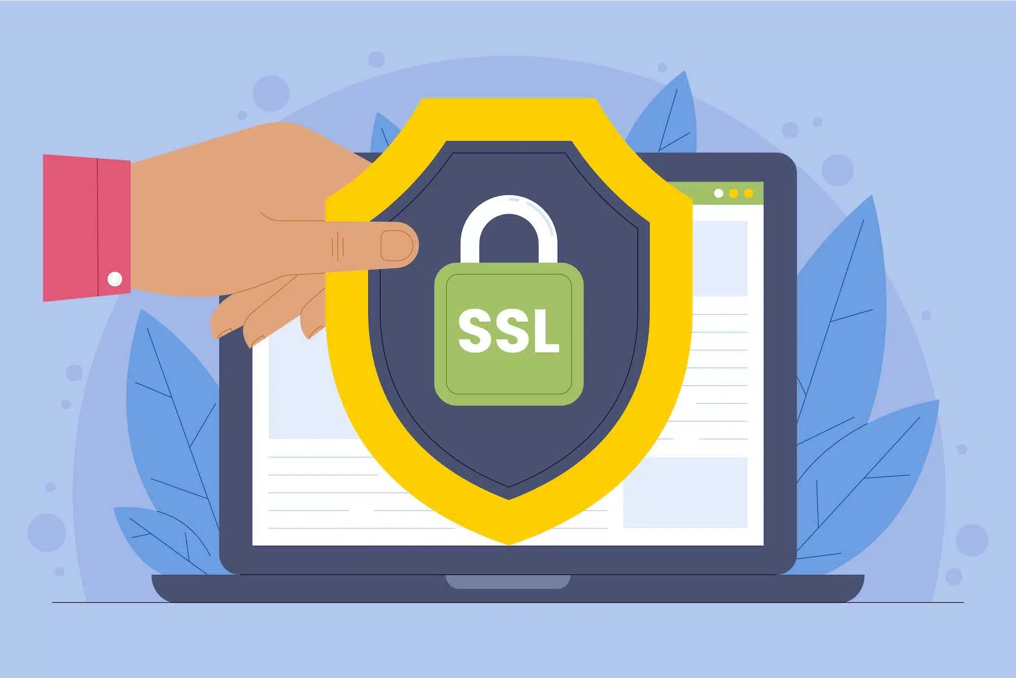 Secure Website with SSL Certificate for User Protection