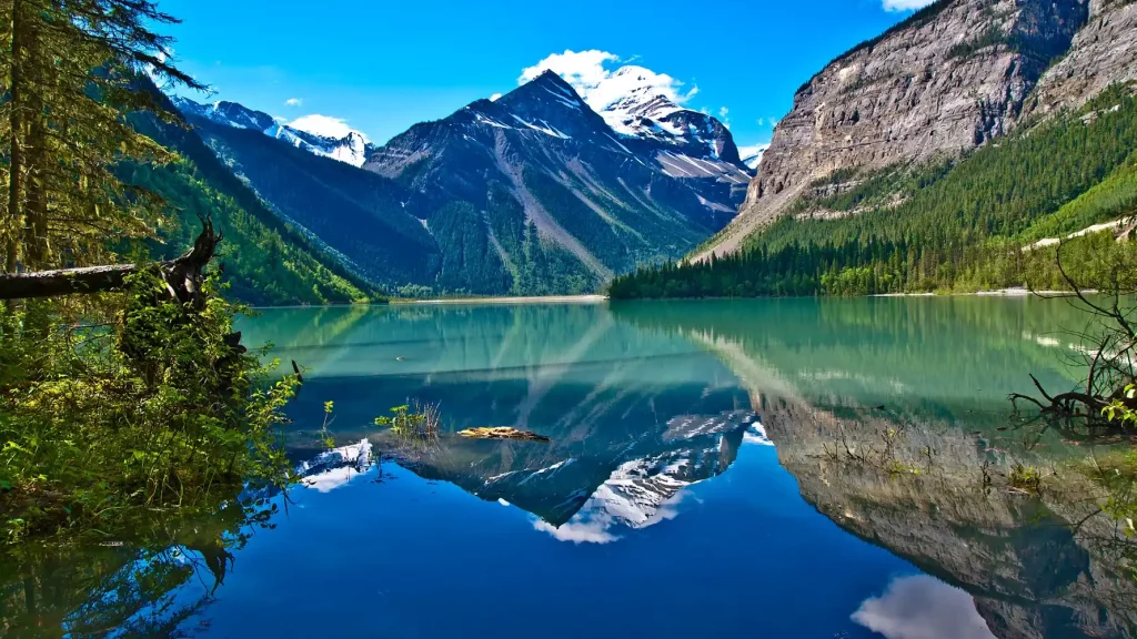 Leading Marketing Agency for Spray Foam Contractors in British Columbia