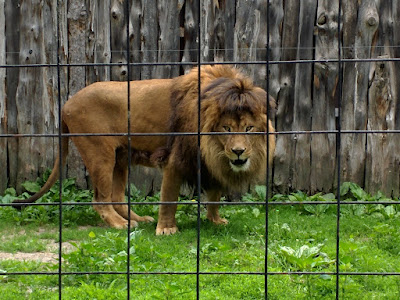 Bowmanville Zoo