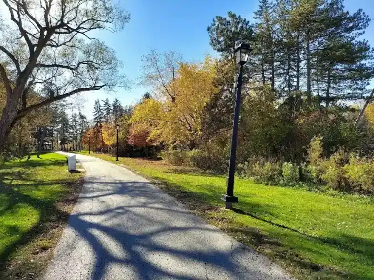 Tarentorus Park Tarentorus Park